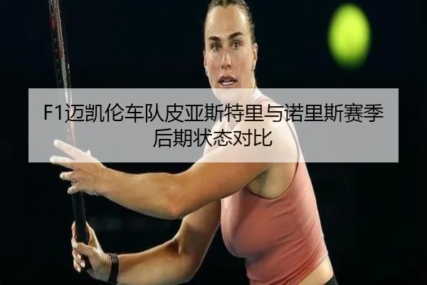 F1迈凯伦车队皮亚斯特里与诺里斯赛季后期状态对比
